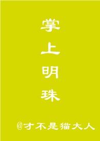 掌上明珠长篇