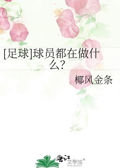 职业球员足球