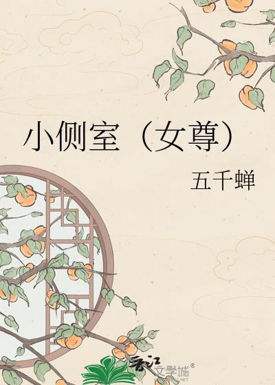 小侧室(女尊)百度