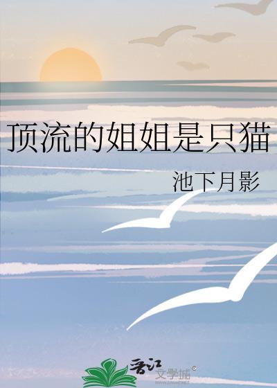 顶流的姐姐是只猫格格党