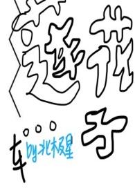 莲花莲芯的