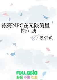 漂亮npc在无惊悚限流中