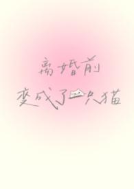 离婚前变成了一只猫知乎