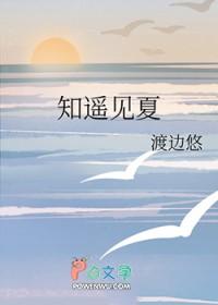 知夏遇你