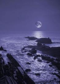 暗夜电影在线观看免费完整版