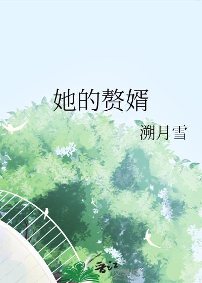 赘婿的老婆们