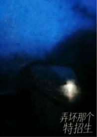 弄坏那个特招生讲的什么