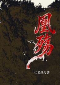 夗凰殇