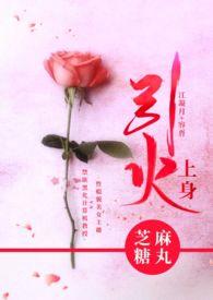 引火上身免费阅读