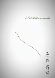 原则崩坏by乌鱼不高兴 特别好看