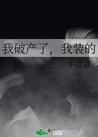 我破产了