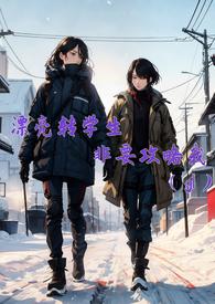 漂亮转学生非要攻略我(gl)作者路人