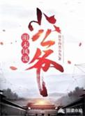明末风流兵王