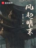 风起宋末顶点