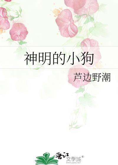 神明的宠儿阿郭免费阅读