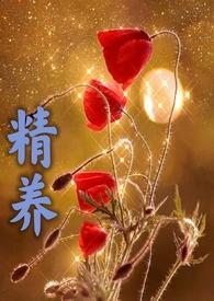 精养贵妇免费阅读全文