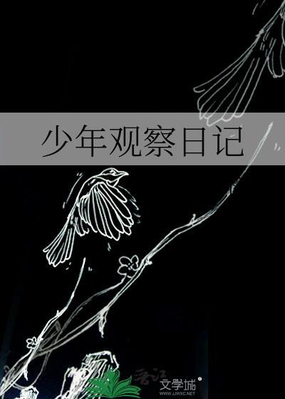 少年观察日记400字