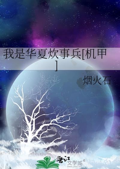 我是华夏炊事兵机甲烟火石