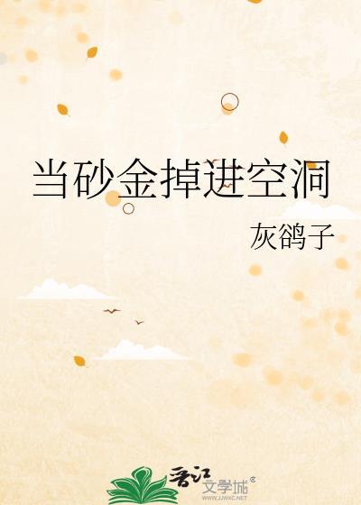 当砂金掉进空洞全文免费阅读