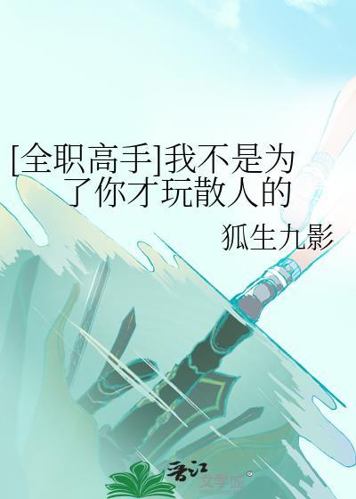全职高手我不是为了你才玩散人的