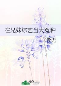 兄妹上恋综节目
