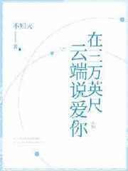 第1章在三万英尺云端说爱你