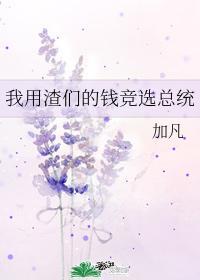 我用渣们的钱竞选总统格格党