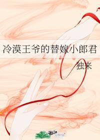冷漠王爷的替嫁小郎君晋江