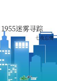 迷雾追踪案件结果