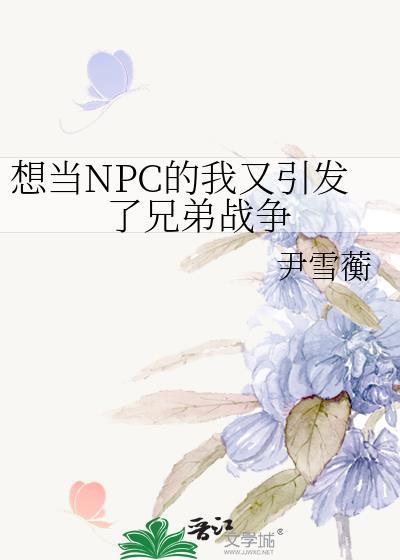 我想玩NPC