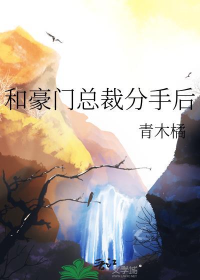 和豪门总裁分手后gl向研
