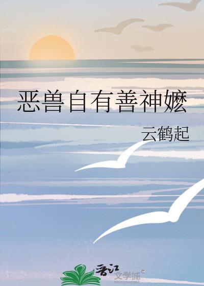 善恶兽决价格