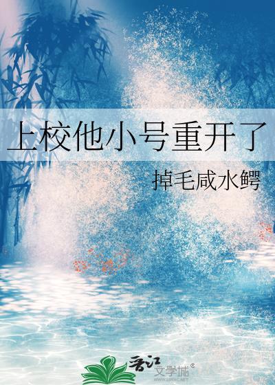 上校他小号重开了全部图片经验