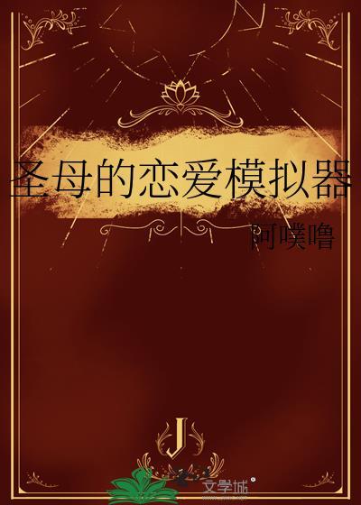 圣母婊男
