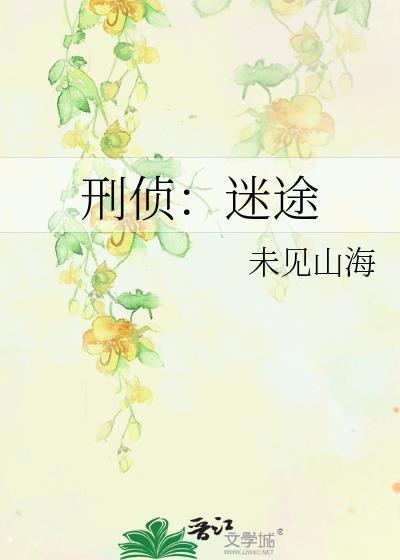 刑侦迷途TXT百度