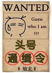 头号通缉犯完整版