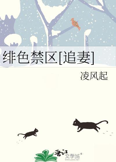 绯色禁区追妻凌风起txt百度