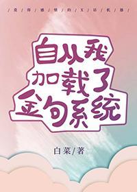 自从我加载了金句系统38