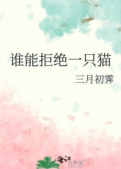 谁会拒绝小猫咪