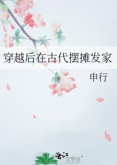 穿越后在古代摆摊发家晋江