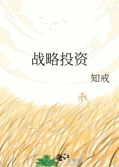 战略投资者和财务投资者的区别