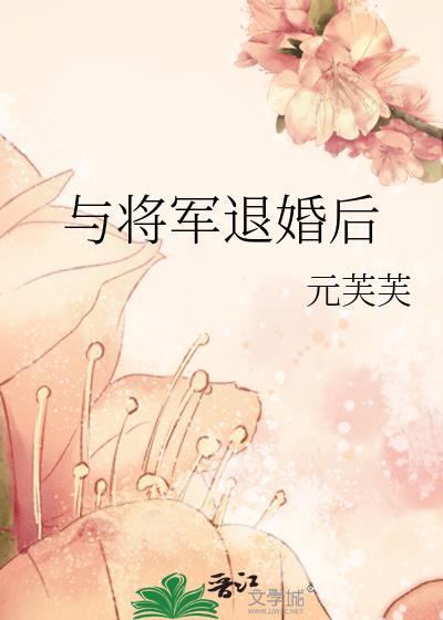 将军退伍以后