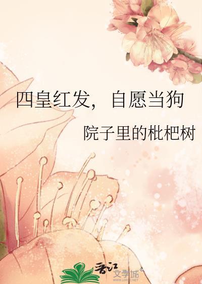 红发四皇时间
