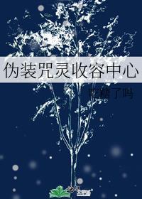 荒殿一伪装咒灵收容中心