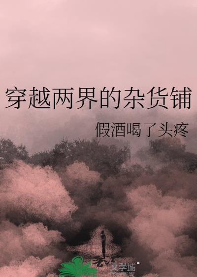 穿越两界的杂货铺txt番外
