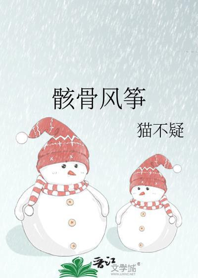 骸骨风筝百度txt