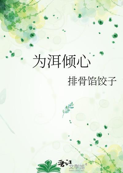 为洱倾心by排骨馅饺子讲什么