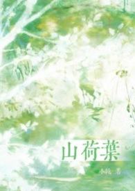 山荷叶花语是什么