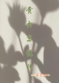 贵女vn
