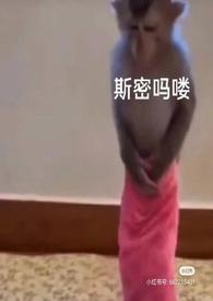 泡芙小姐角色泡芙介绍